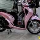 SH 2019 Dán Đổi Màu Hồng - SHV019