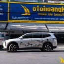 Tem Xe Vinfast Limo Green - VLI005