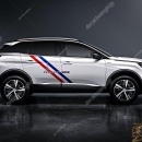 Tem Xe Peugeot 3008 - P38016
