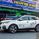 Tem Xe Peugeot 3008 - P38017