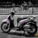 Tem xe Sh Mode - SHM009