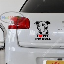Decal Chữ Dán Xe - TDC004