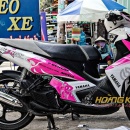 Tem Xe Nouvo LX - NLX001