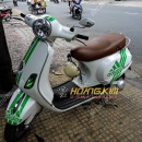 Mẫu decal xe Vespa LX Adidas - VLX011