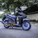Tem Xe Vario - HVC001